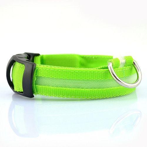 Lighted Dog Collar