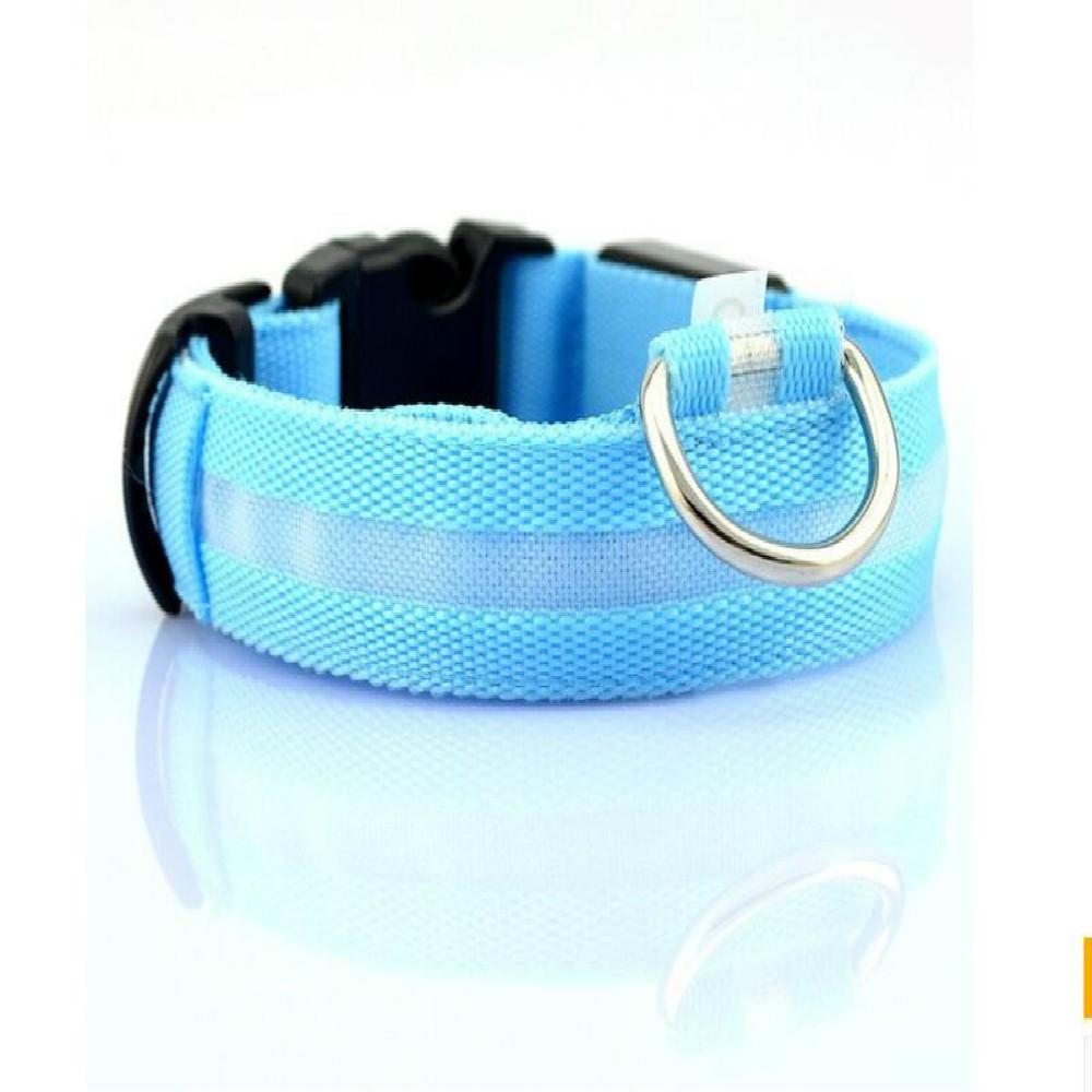 Light-up dog collar