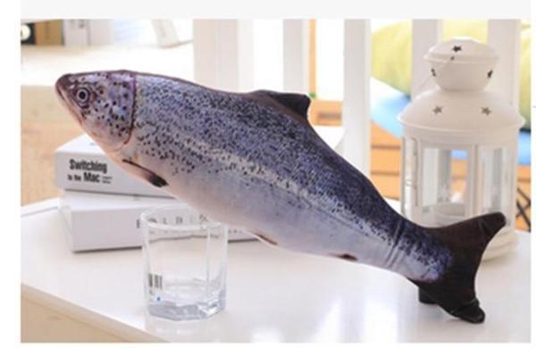 realistic fish toy for cat