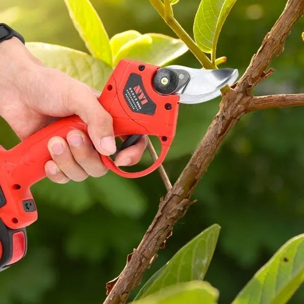 telescopic electric shaker
