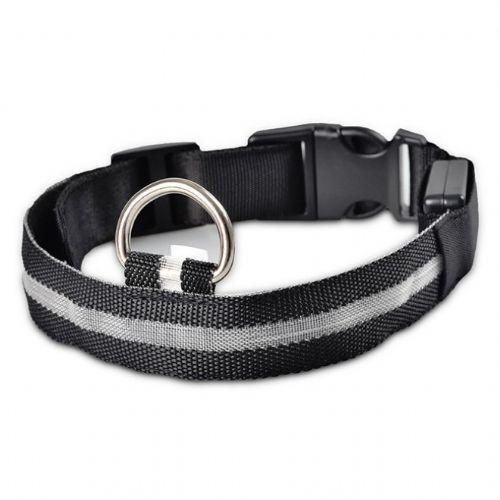 Lighted Dog Collar