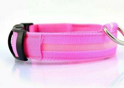Light-up dog collar