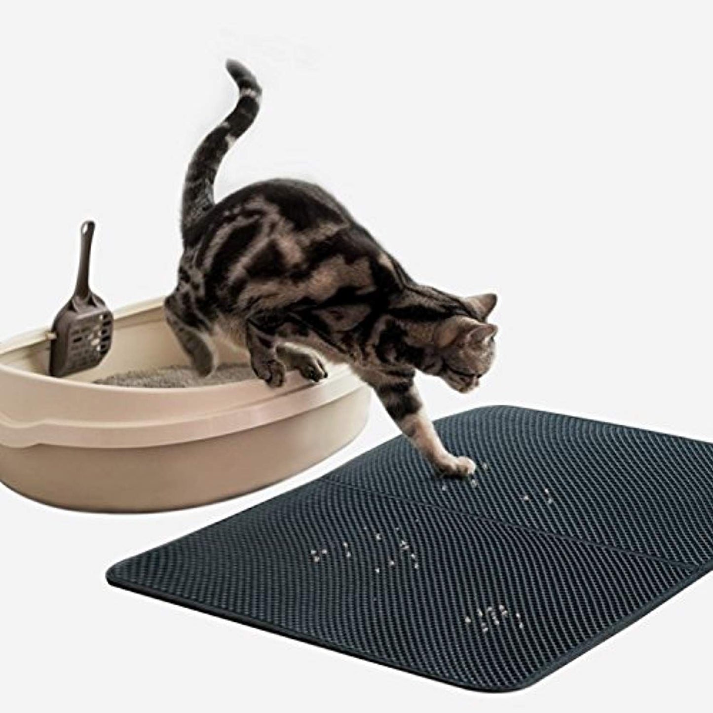 cat litter mat