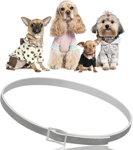 anti-parasite dog collar
