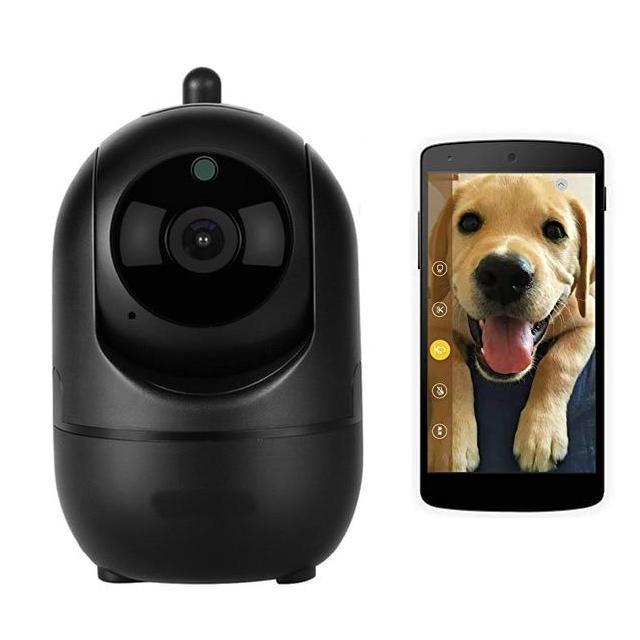 Ingenious Wifi Dog Surveillance Camera