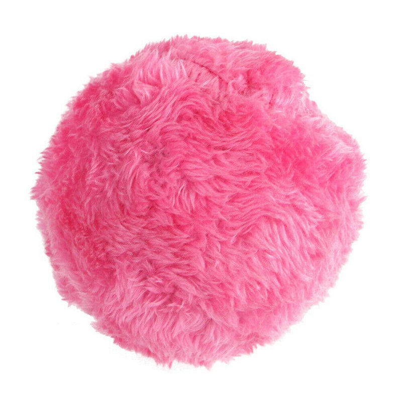 Magic roller ball toy for dog