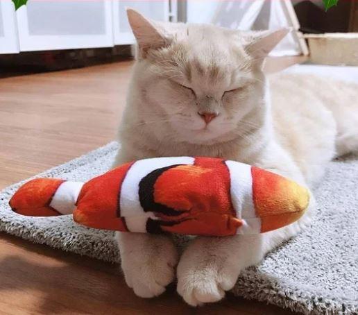 realistic fish toy for cat