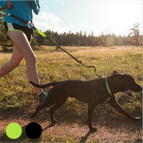 Elastic free hand dog leash