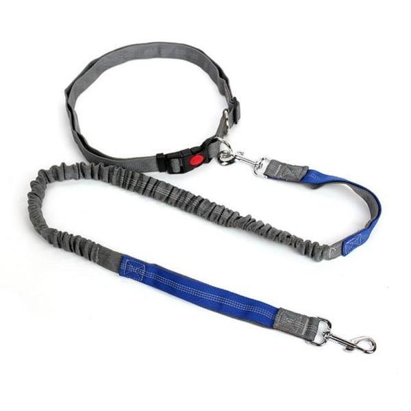 Elastic free hand dog leash