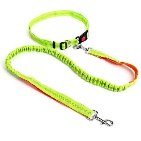 Elastic free hand leash for dog