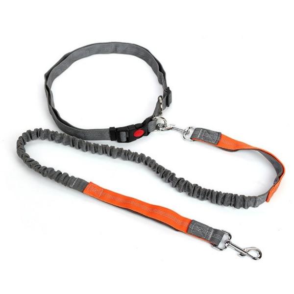 Elastic free hand leash for dog