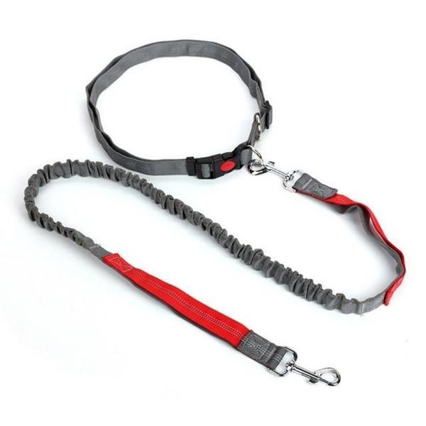 Elastic free hand leash for dog