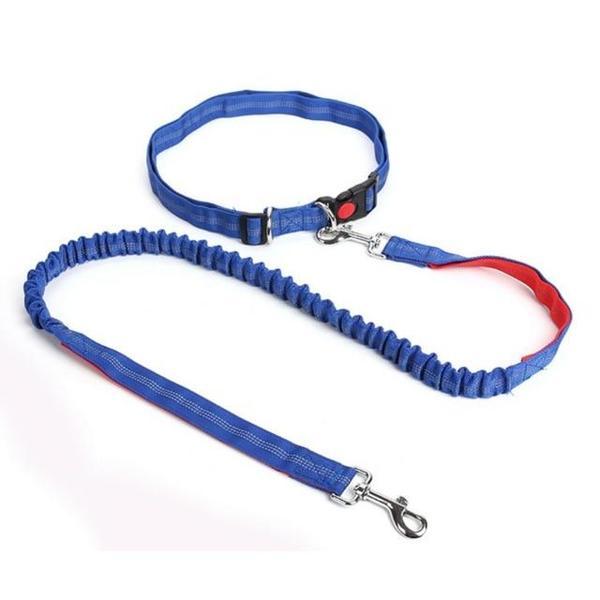 Elastic free hand leash for dog