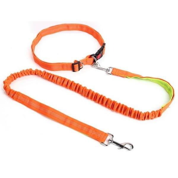 Elastic free hand leash for dog