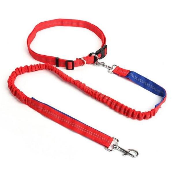 Elastic free hand leash for dog