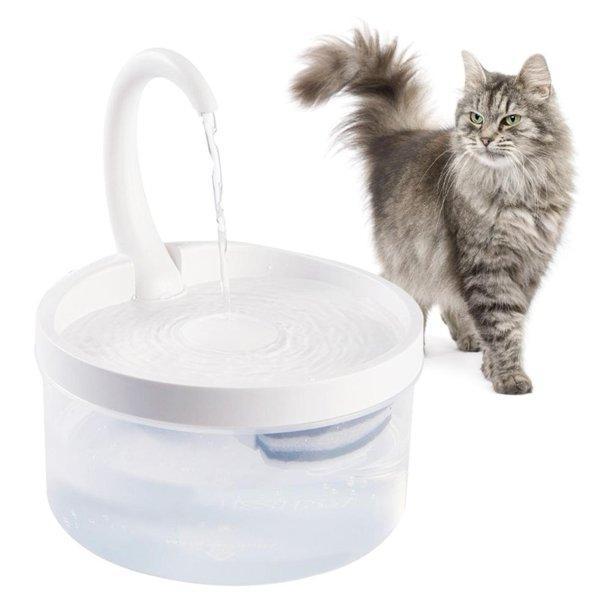 water fountain cat