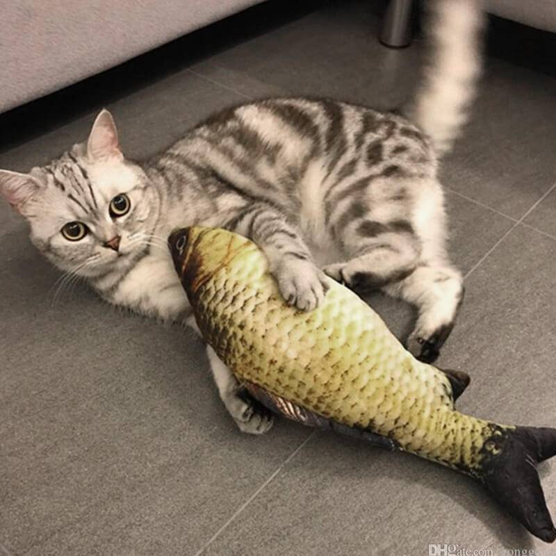 realistic fish toy for cat